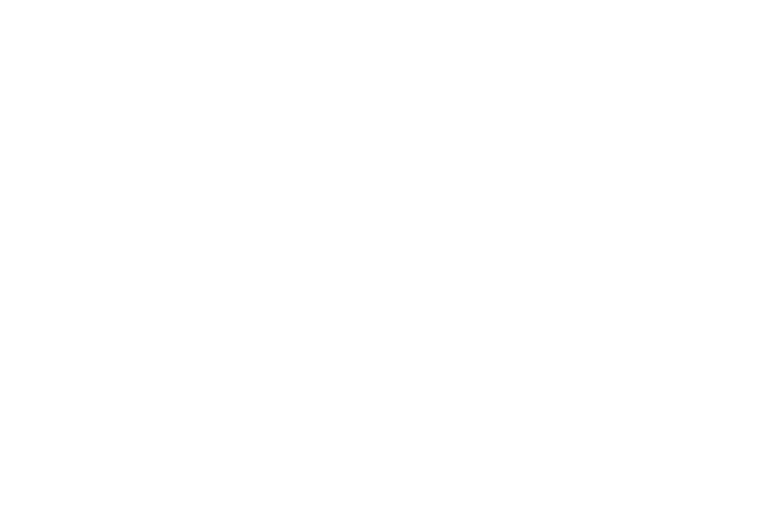 White Hat Logo